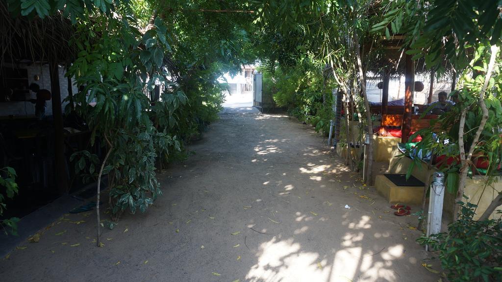 ארוגם Zimbay Guest House מראה חיצוני תמונה