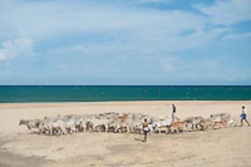 ארוגם Zimbay Guest House מראה חיצוני תמונה