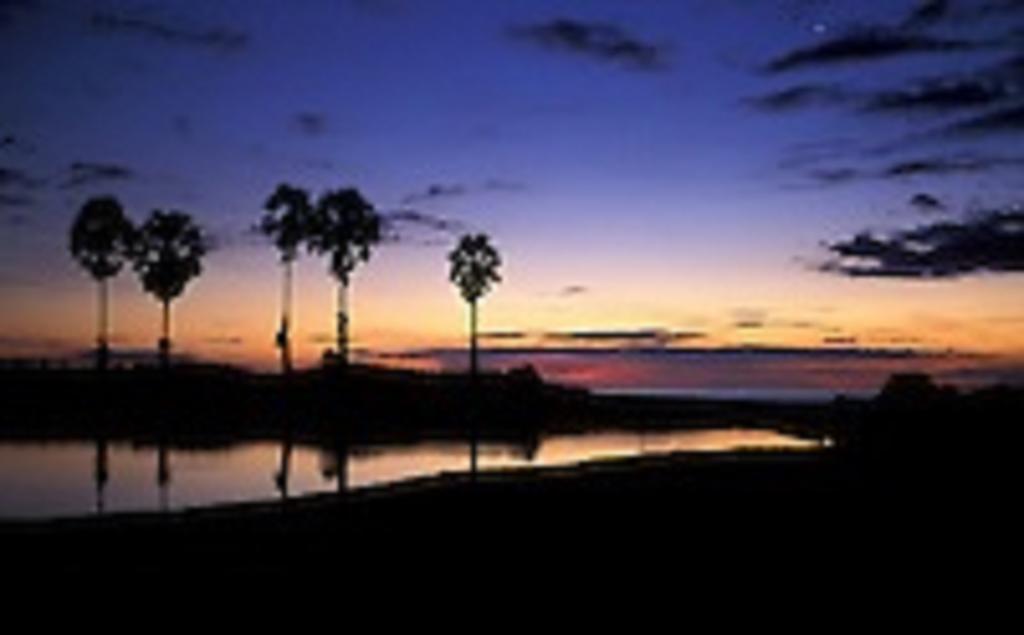 ארוגם Zimbay Guest House מראה חיצוני תמונה